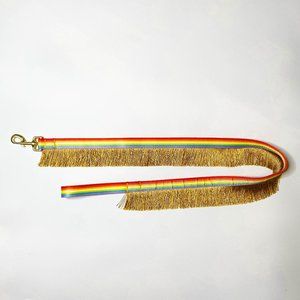 You Are Loved Pride Rainbow Fringe 4' Dog Leash